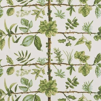 Pierre Frey Pierre Frey Espalier FP169002 Pierre Frey Pierre Frey Espalier FP169002