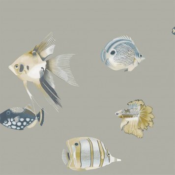 Harlequin Harlequin Kamanu Graphite/Mustard - 111646 Harlequin Harlequin Kamanu Graphite/Mustard - 111646