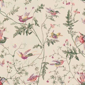 Hummingbirds by Cole  Son  Soft MultiColour  Wallpaper  Wallpaper  Direct