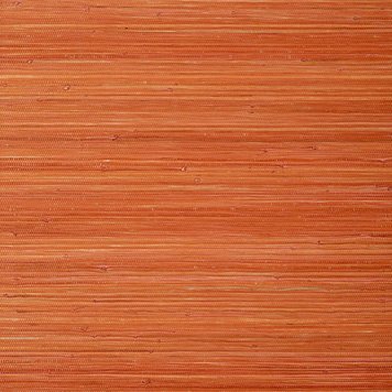 Thibaut Thibaut Raffia Palm - T24072 Thibaut Thibaut Raffia Palm - T24072