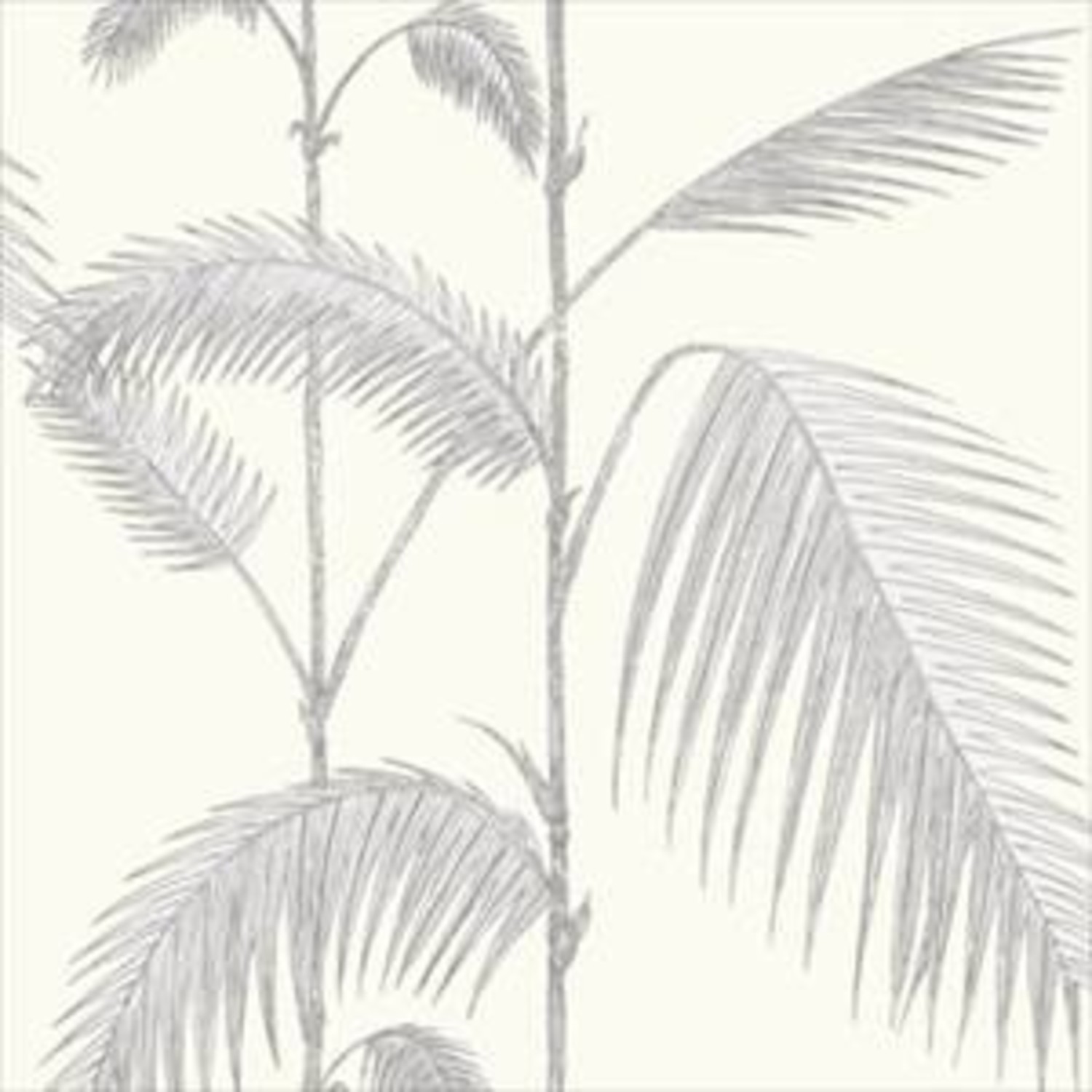 Cole And Son Palm Leaves 95 1008 De Mooiste Muren