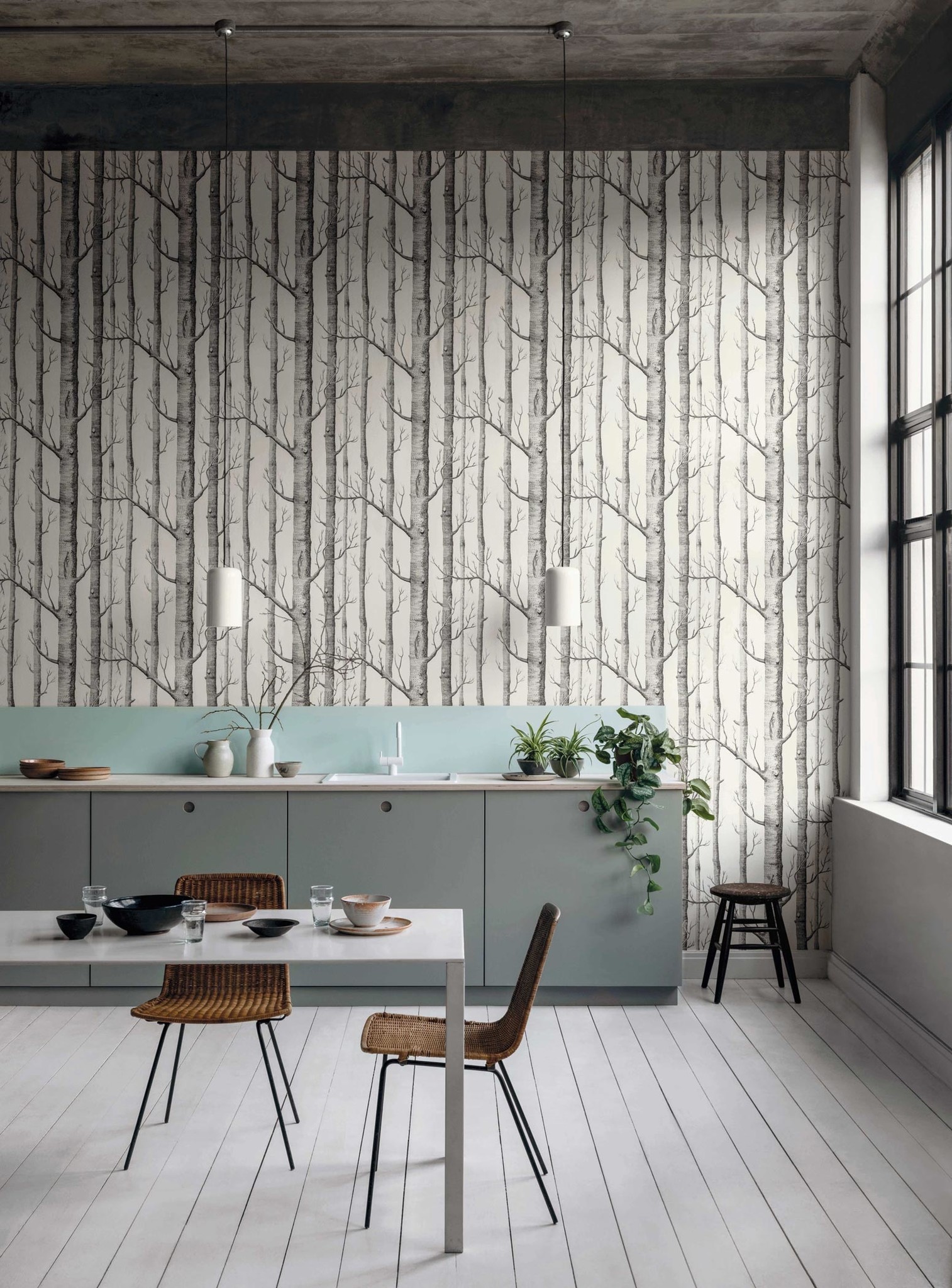 Cole  Son Woods  Stars Midnight Wallpaper  Courthouse Interiors