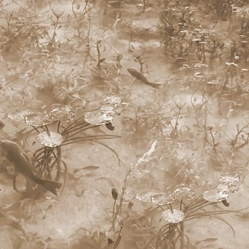 Tres-Tintas Tres Tintas Tokyo JO2720-02 Tres-Tintas Tres Tintas Tokyo JO2720-02