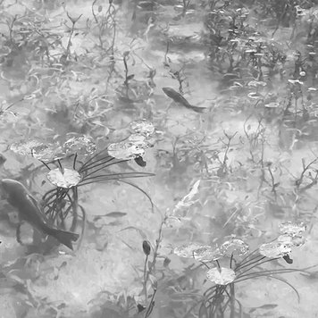 Tres-Tintas Tres Tintas Tokyo JO2720-03 Tres-Tintas Tres Tintas Tokyo JO2720-03