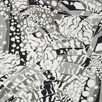 Anna French Anna French Puccini Zwart - AT9857 Anna French Anna French Puccini Zwart - AT9857