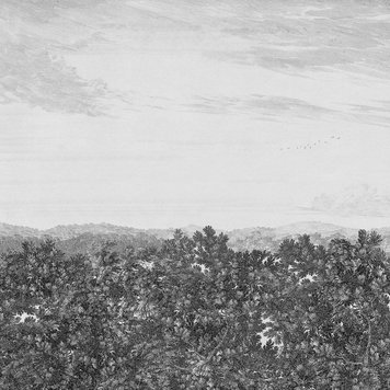 Sandberg Sandberg Oak View Graphite - 658-31 Sandberg Sandberg Oak View Graphite - 658-31