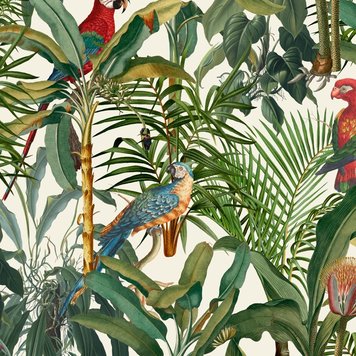 Mind The Gap Mind The Gap Parrots Of Brasil WP20521