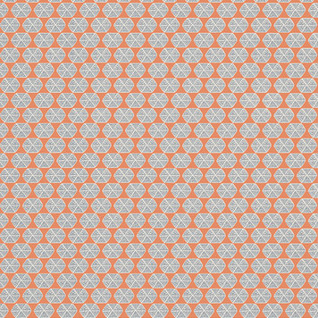 Thibaut Thibaut Parada - T2935 Thibaut Thibaut Parada - T2935