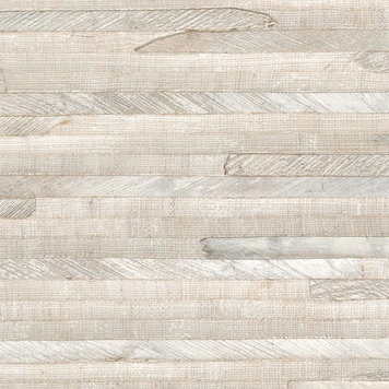 NOBILIS Nobilis Galapagos - ARC32 NOBILIS Nobilis Galapagos - ARC32