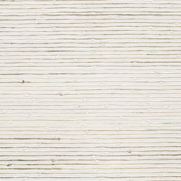 NOBILIS Nobilis Capstan - MTS50 NOBILIS Nobilis Capstan - MTS50