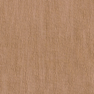 NOBILIS NOBILIS Gouge-0-DPN60 NOBILIS NOBILIS Gouge-0-DPN60