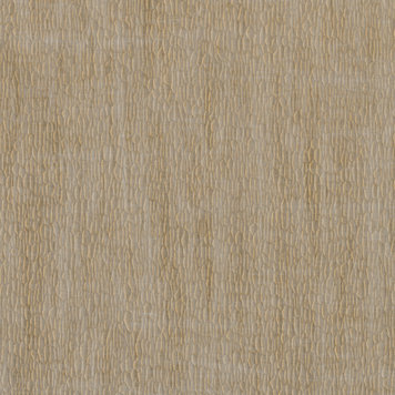 NOBILIS NOBILIS Gouge-1 - DPN61 NOBILIS NOBILIS Gouge-1 - DPN61