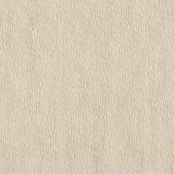 NOBILIS NOBILIS Gouge -3-DPN63