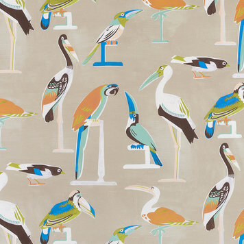 Pierre Frey Pierre Frey Les Oiseaux Perches - FP768002 Pierre Frey Pierre Frey Les Oiseaux Perches - FP768002