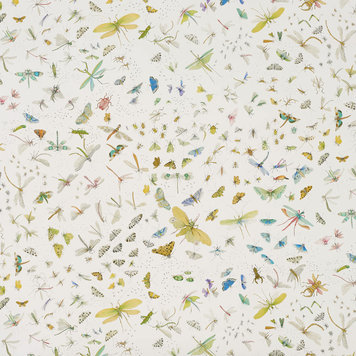 Pierre Frey Pierre Frey La serre aux papillons - FP583001 Pierre Frey Pierre Frey La serre aux papillons - FP583001