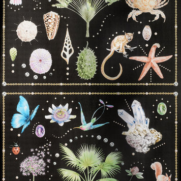 Pierre Frey Pierre Frey Curiosites - FP589001 Pierre Frey Pierre Frey Curiosites - FP589001