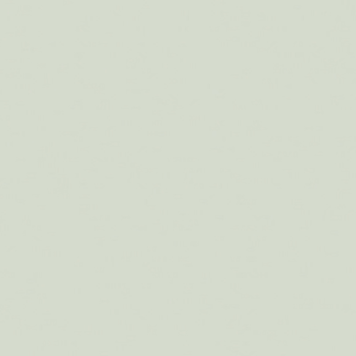 Little Greene Little Greene paint - Pearl Color (100)