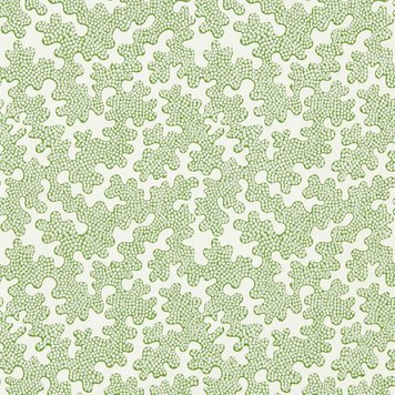 Harlequin Harlequin Zori - 112934 Harlequin Harlequin Zori - 112934