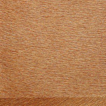 Elitis Elitis Movida Metal Rust - VP94893 Elitis Elitis Movida Metal Rust - VP94893