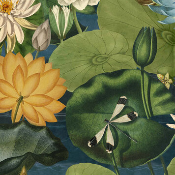 Mind The Gap Mind the Gap behang Lotus Blossom - WP20723 Mind The Gap Mind the Gap behang Lotus Blossom - WP20723
