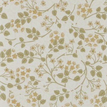 Sanderson Sanderson wallpaper Silver Lime Lichen - 217515 Sanderson Sanderson wallpaper Silver Lime Lichen - 217515