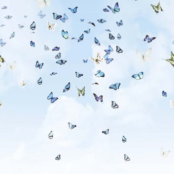 Naturalis Originals Natural History paneel - NATM-0107-1016 Naturalis Originals Natural History paneel - NATM-0107-1016