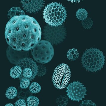 Naturalis Originals Natural History mural - NATR-0013-1015