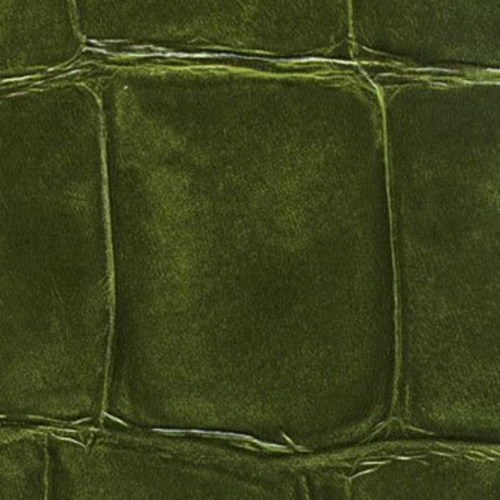 Krokodillen Behang | Luxe Croco Behang Verzending