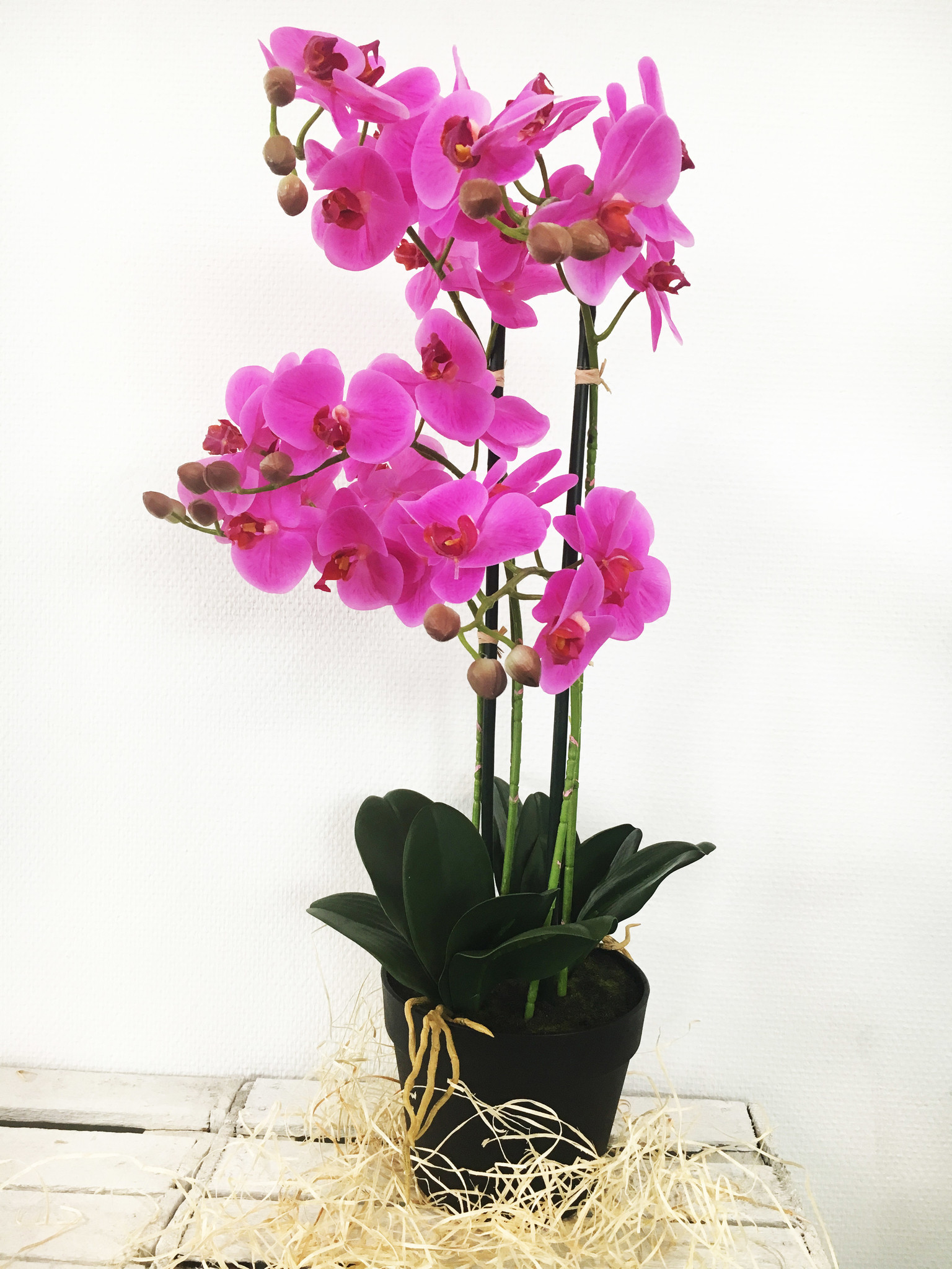 Vesting stromen Cordelia Kunst Orchidee plant roze 75 cm ( 5-taks vol bloemen) - Hoesjesweb.nl