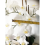 HEM Grote Levensechte Kunst Orchidee / Phlaenopsis plant 100 cm met pot ( 5-taks vol bloemen) kleur Wit  - Kunstplant