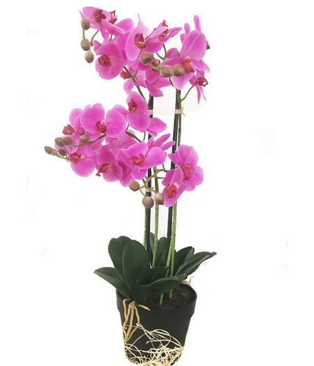 HEM HEM Levensechte Kunst Orchidee / Phalaenopsis plant 75 cm met pot