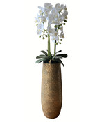 HEM Levensechte Kunst Orchidee / Phalaenopsis plant 75 cm met zwarte pot