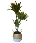 HEM Levensechte Kunst Dracaena Lemon Lime 120 cm  met pot