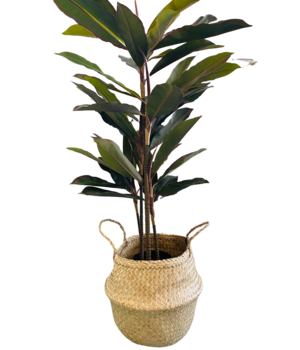 Set van 2 Kunstplanten Binnen 90 CM Nep Planten Decoratieve Boom Hoge