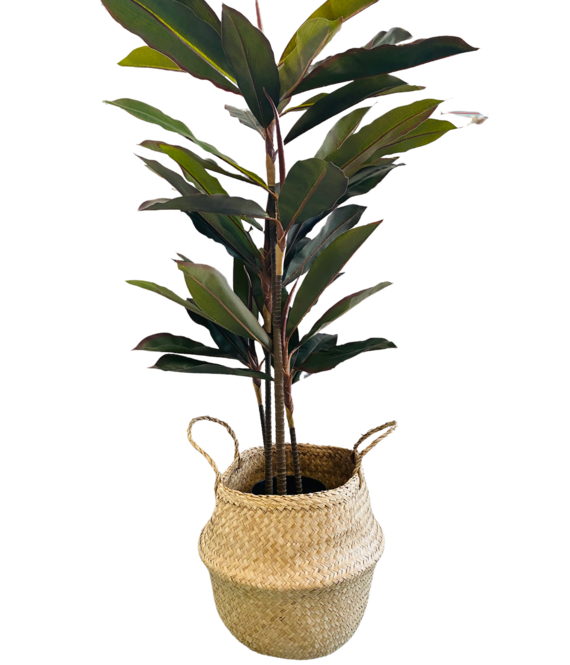 HEM Levensechte Kunst Dracaena 117 cm met Zwarte pot - Kunstplant