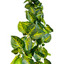 HEM HEM Drankenklimop (Syngonium) Kunstplant Volle Hangplant - Kunstplant 100 cm - Levensechte Kunstplant - Modelerende stevige hangstreng