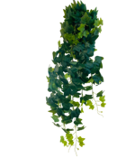 Kunst Klimop (Hedera Helix Groen) Hangplant