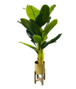 Kunst Bananenplant - 165 cm