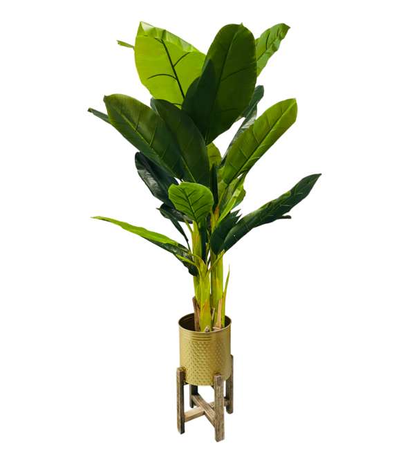 HEM HEM Kunst Palm - Kunst Bananenplant - Bananen Kunstplant 165 cm - Kunstplant voor binnen - Grote Kunstplant - Groene Kunstplant