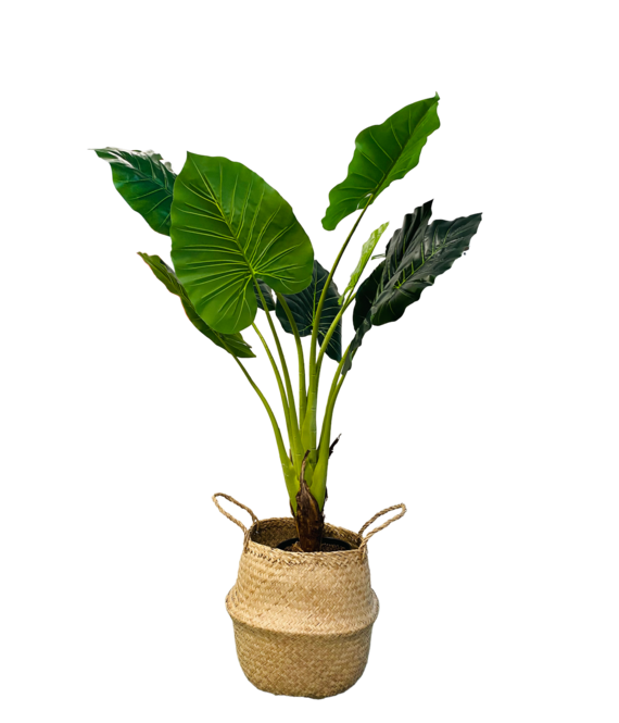 HEM HEM Kunst Palm - Kunst Colocasia Taro Plant - Colocasia Taro Kunstplant 90 cm in zwarte pot - Kunstplant voor binnen - Grote Kunstplant