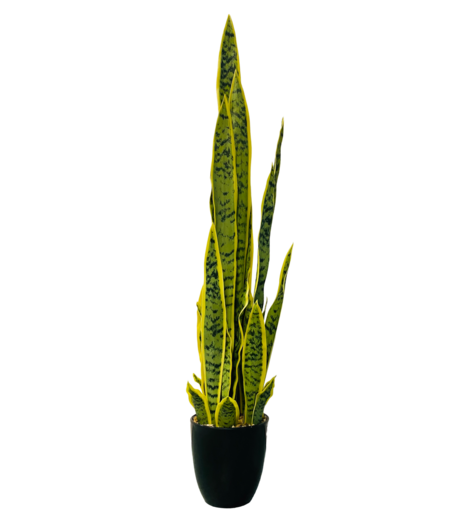 HEM Sansevieria / Vrouwentong Kunstplant 92 cm - groen / geel