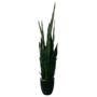 HEM HEM Sansevieria / Vrouwentong Kunstplant - Levensechte Kunstplant voor binnen - in pot - groen 92 cm - niet van echt te onderscheiden