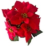 HEM HEM - Kunst Kerstster plant  Rood  - Poinsettia in oranje pot 30 cm -  Kerstplant - Kerstsfeer - Kunstplant Kerst Rood