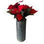 HEM HEM - Kunst Kerstster plant  Rood  - Poinsettia in oranje pot 30 cm -  Kerstplant - Kerstsfeer - Kunstplant Kerst Rood