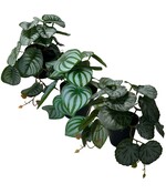 Kunstplanten set - Peperomia - Saxifaga -  Alogasia - 3 x kunstplant 17 cm hoog in zwarte potten - 3 stuks Kantoorplanten - 3 x Levensechte Kunstplanten