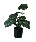 Kunstplant Anthurium Crystallinum - 43 cm - 15 stengels uitlopend naar hartvormige bladeren