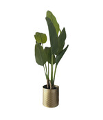 Strelitzia Kunstplant - Strelitzia Nicolai Kunstplant - Paradijsvogelplant 120 cm