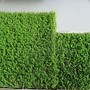 HEM HEM - Kunstgras Poolhoogte 28 mm - Grastapijt voor binnen en buiten - fitnessgras - fitness gras - Kunstgras voor meerdere doeleinden - 1x3m