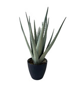 Kunstplant Aloë Vera - 45 cm - 17 Uitlopers - Zwarte Pot met Mos - Realistische Nepplant