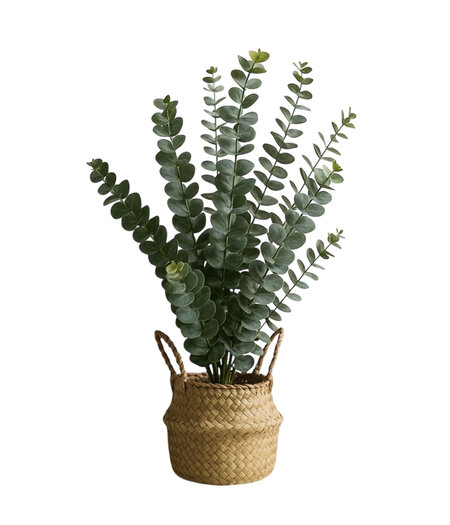 HEM HEM Kunst Eucalyptus 50 cm met Mand
